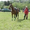 Rajd Mszana Górna 2015